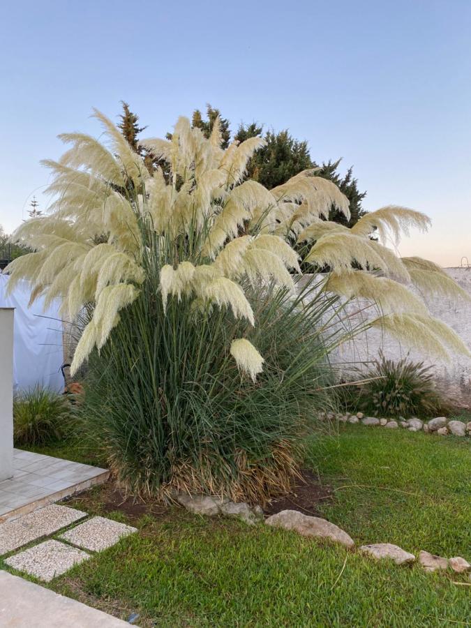 Villa Mare *